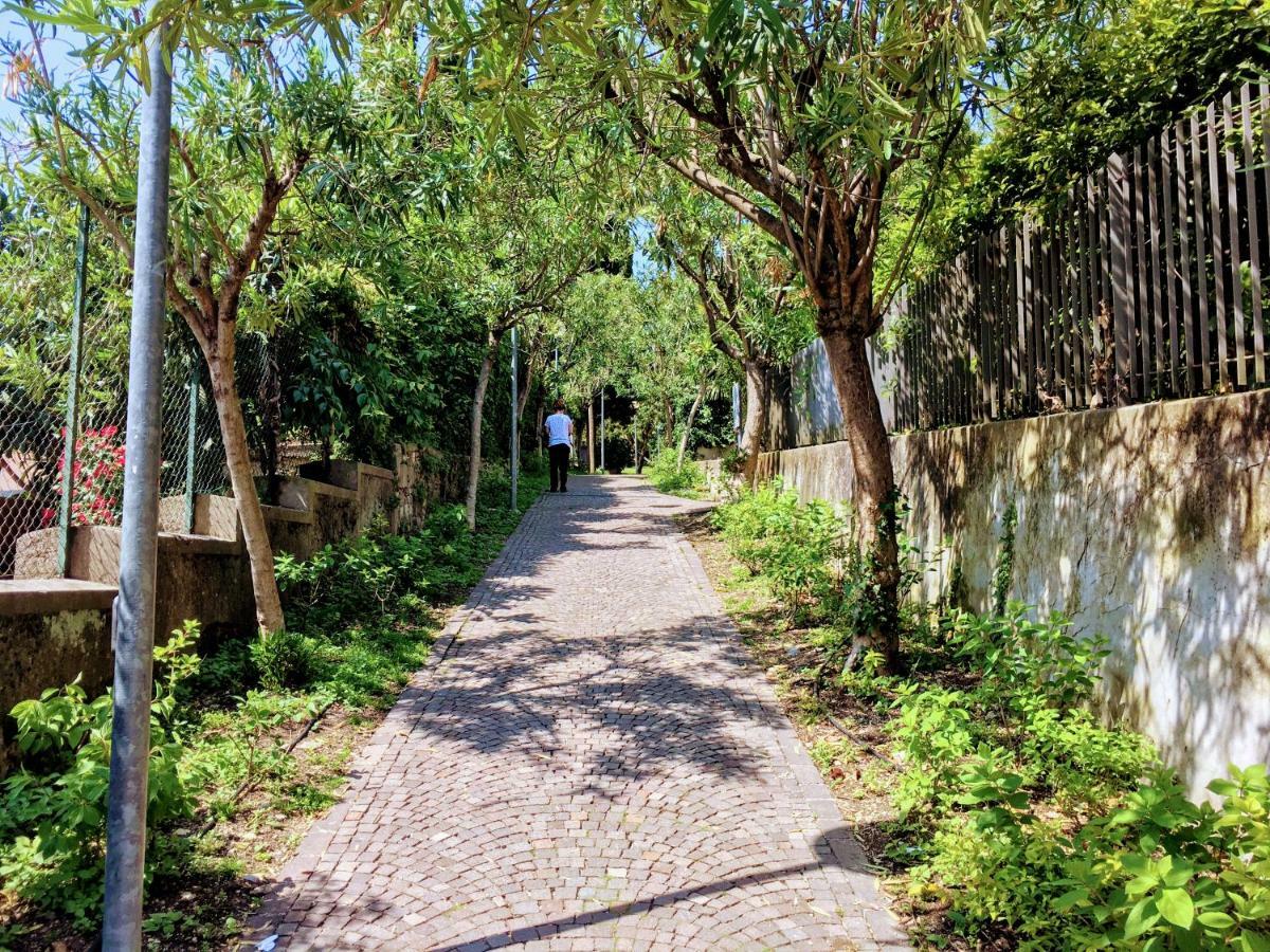 La Briciola Apartment Sirmione Bagian luar foto